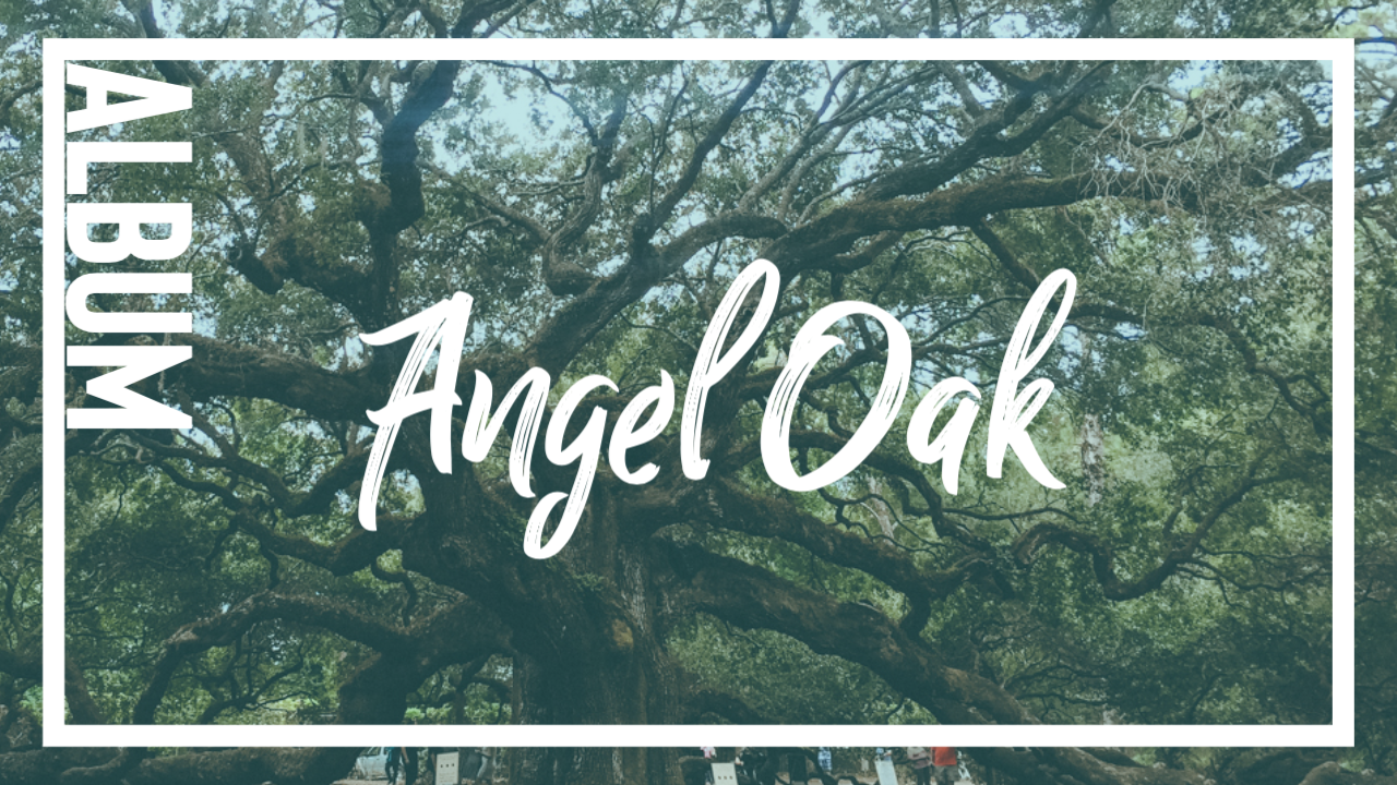 Featured image for “Album: Angel Oak”
