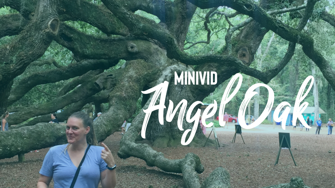 Featured image for “Video: The Angel Oak”