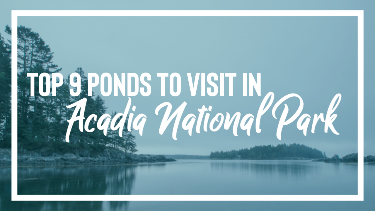 Featured image for “Top 9 Ponds to Visit in Acadia National Park”